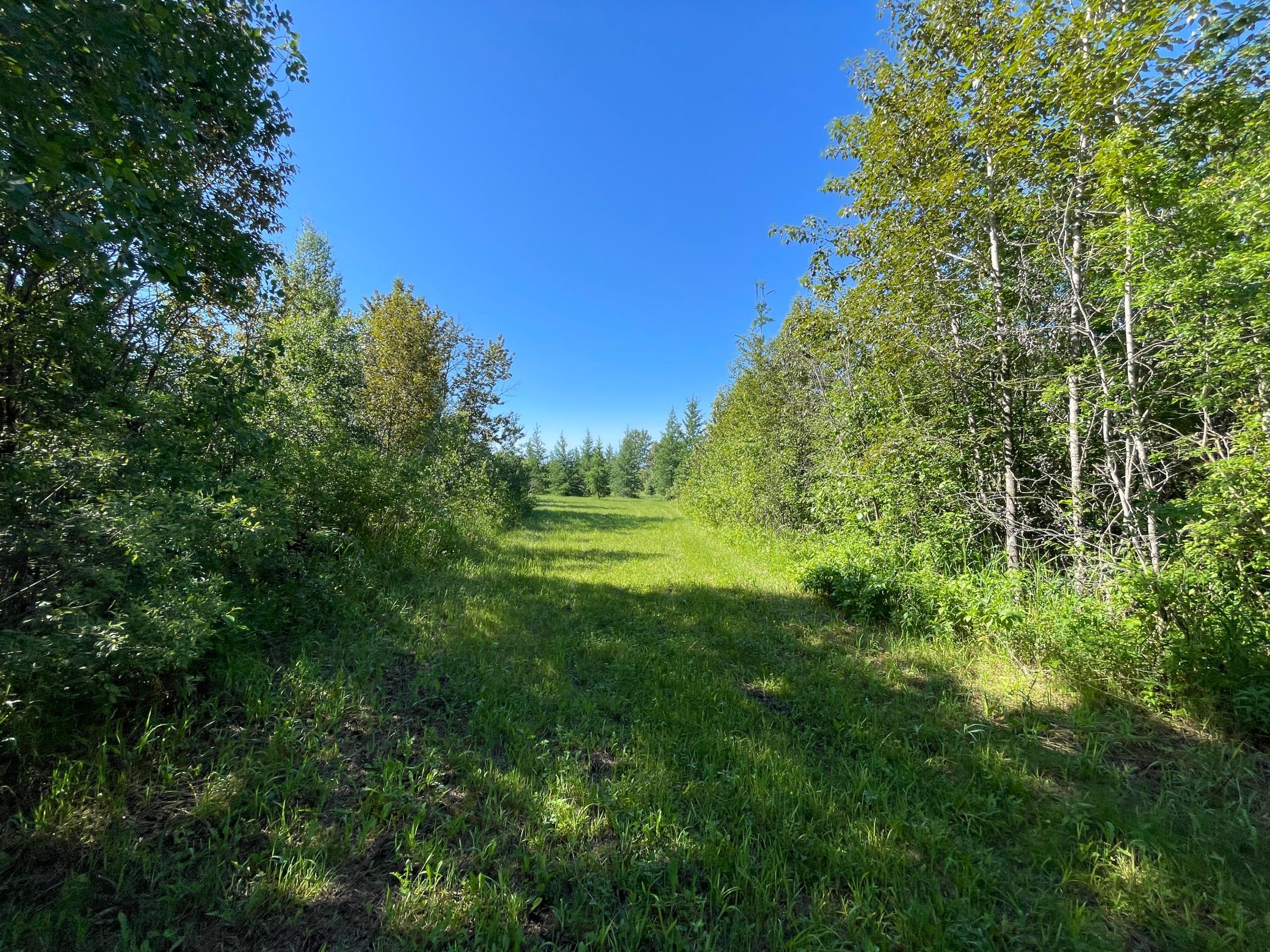 Tbd 440th Avenue Roseau, MN 56751 - Photo 38 of 80
