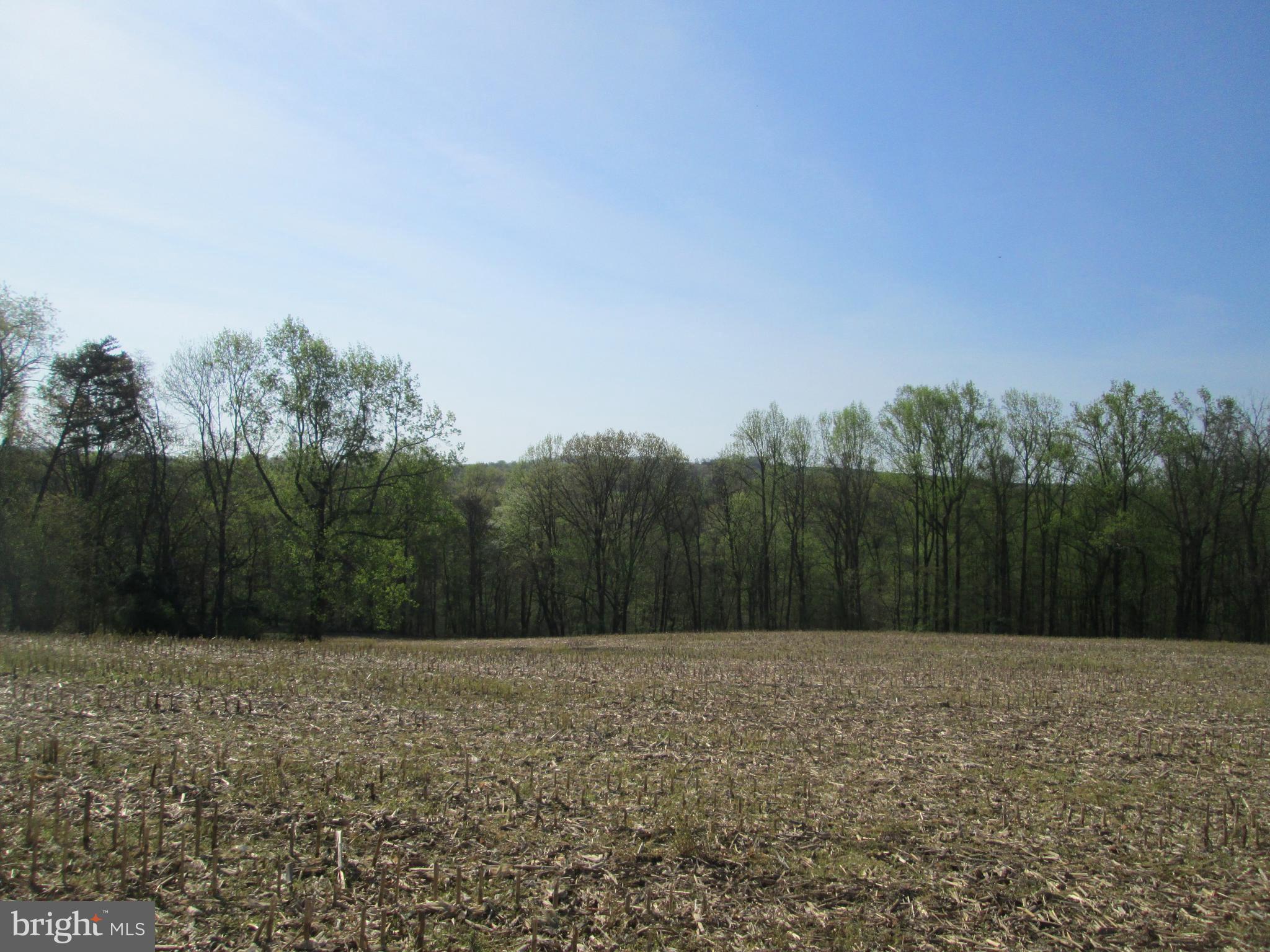 Lot 15 Furnace Road York, PA 17406 - Photo 4 of 11 Gallery Image 4
