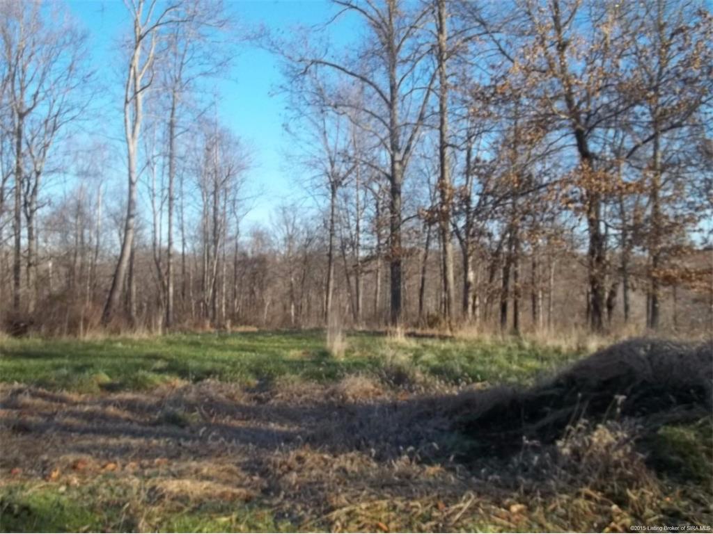 0 St Road Milltown, IN 47145 - Photo 6 of 6 Gallery Image 6