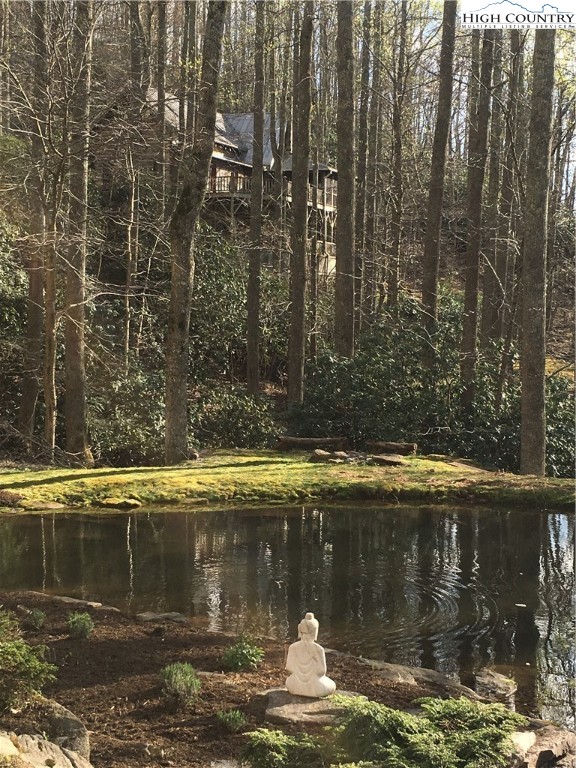 127-129 Rim Rock Gorge Road Blowing Rock, NC 28605 - Photo 11 of 15 a view of swimming pool with a yard
