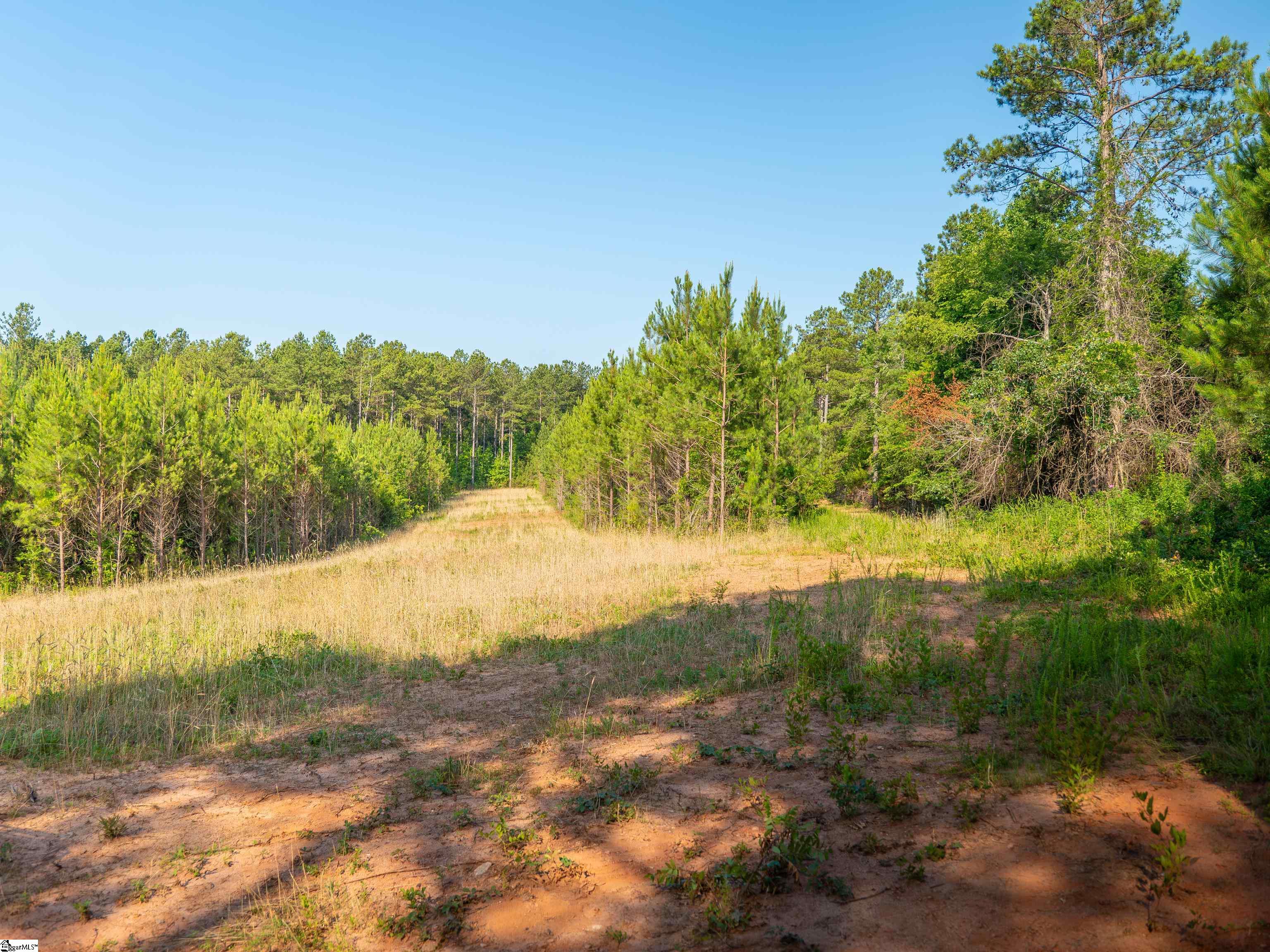 1332 Arnold Lane Waterloo, SC 29384 - Photo 28 of 40