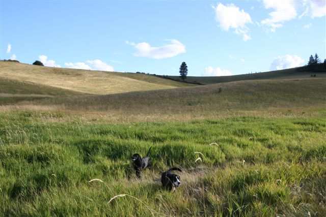 21600 East Powers Road Fairfield, WA 99012 - Photo 1 of 9