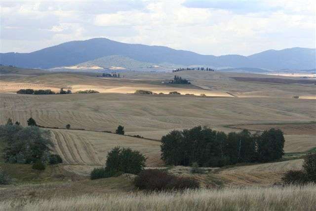 21600 East Powers Road Fairfield, WA 99012 - Photo 3 of 9