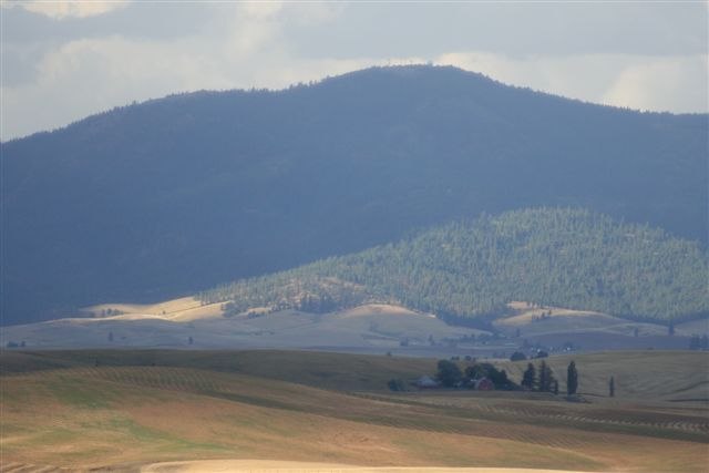 21600 East Powers Road Fairfield, WA 99012 - Photo 4 of 9