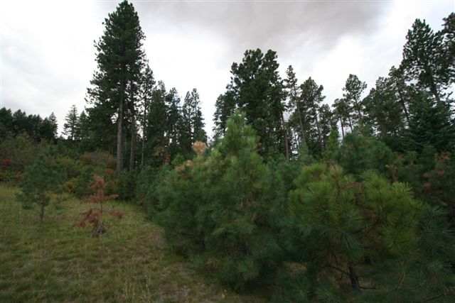 21600 East Powers Road Fairfield, WA 99012 - Photo 6 of 9