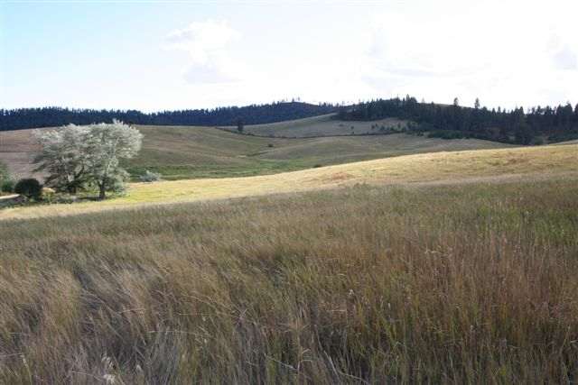 21600 East Powers Road Fairfield, WA 99012 - Photo 7 of 9