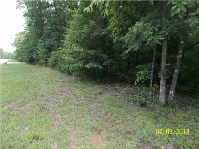 90 East Bluff Road Pikeville, TN 37367 - Photo 1 of 8 Additional Photo
