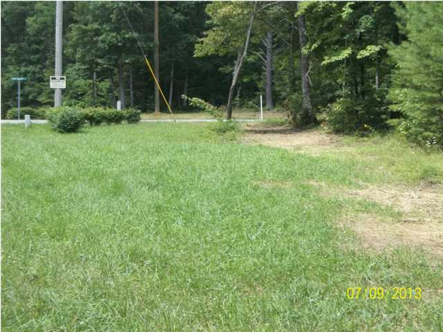 90 East Bluff Road Pikeville, TN 37367 - Photo 2 of 8 Primary Photo