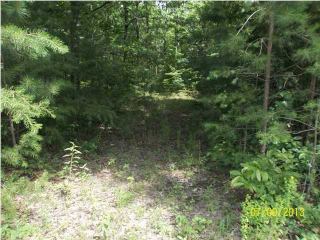 90 East Bluff Road Pikeville, TN 37367 - Photo 3 of 8 Additional Photo