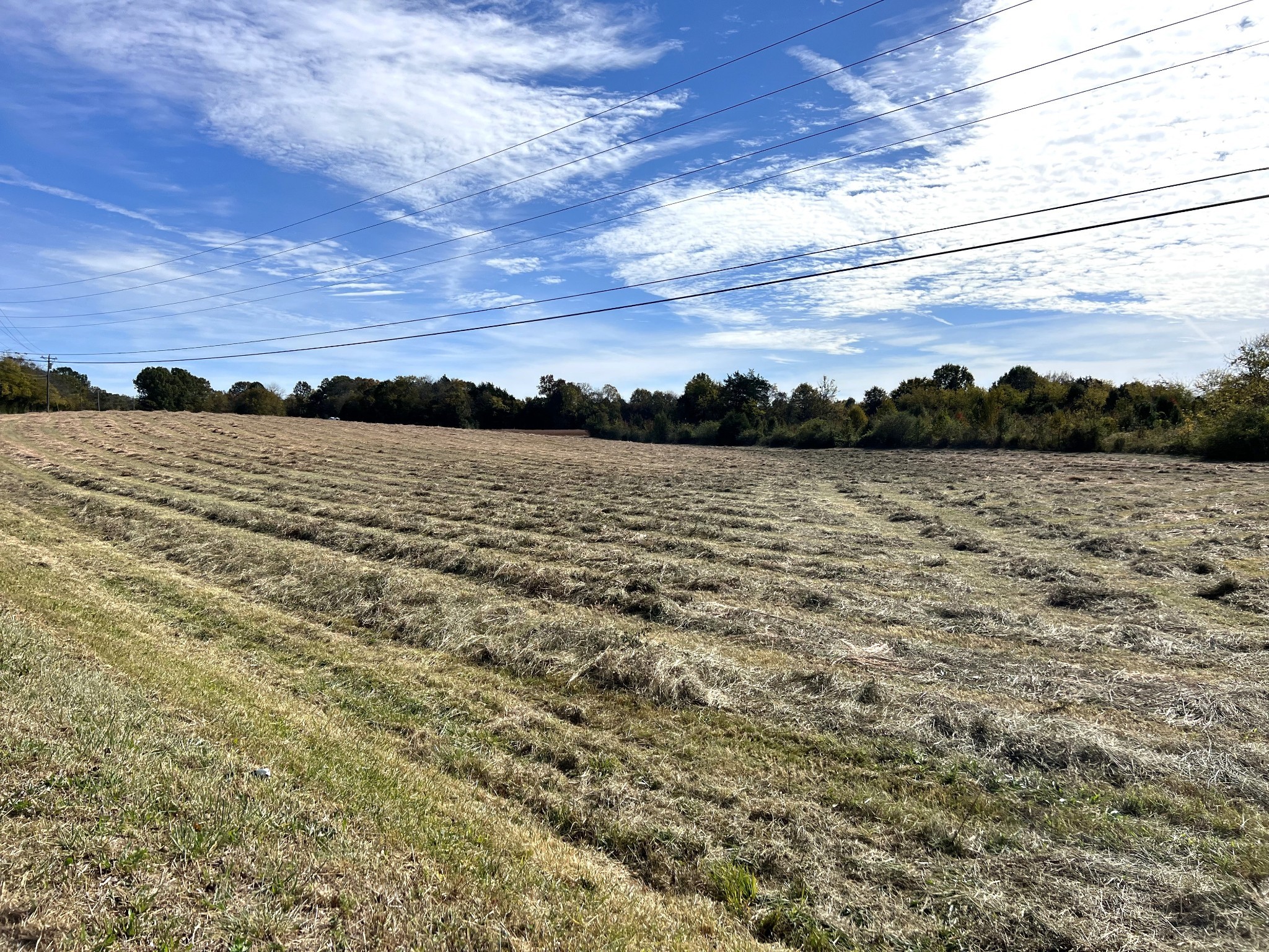 0 Unionville Road Chapel Hill, TN 37034 - Photo 12 of 14 a view of lake and mountain