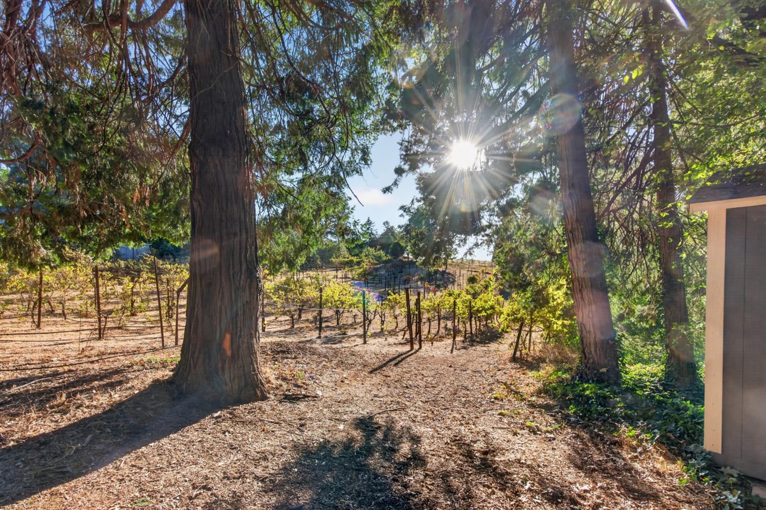 2664 Cable Road Camino, CA 95709 - Photo 48 of 60 Gallery Image 48