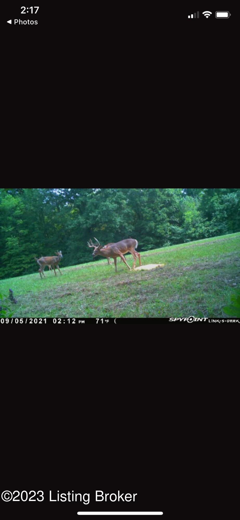 877 Norvelle Road Pendleton, KY 40055 - Photo 4 of 24 trimble county pic 2