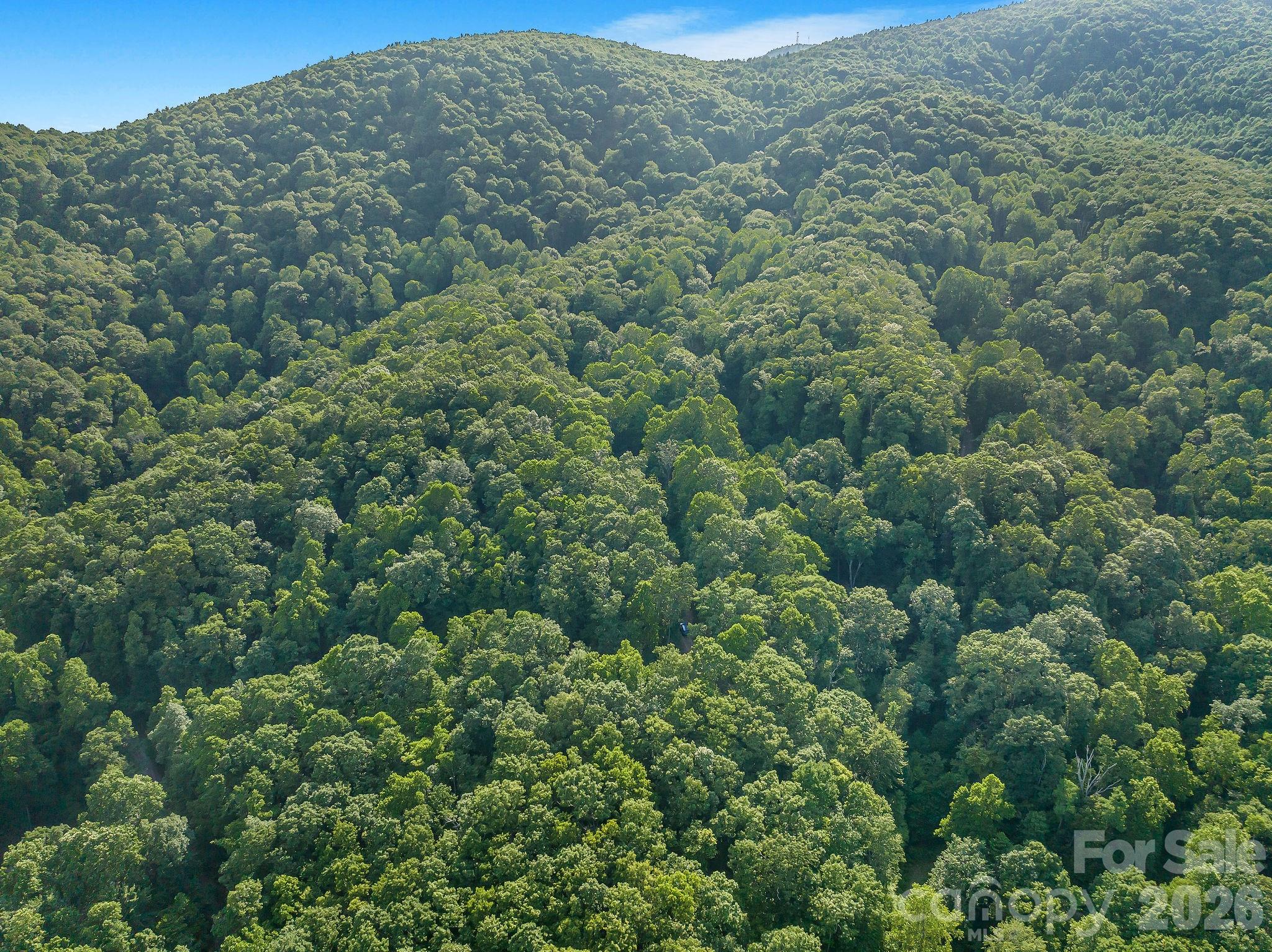 8 Carls Cove Road Hendersonville, NC 28792 - Photo 11 of 25