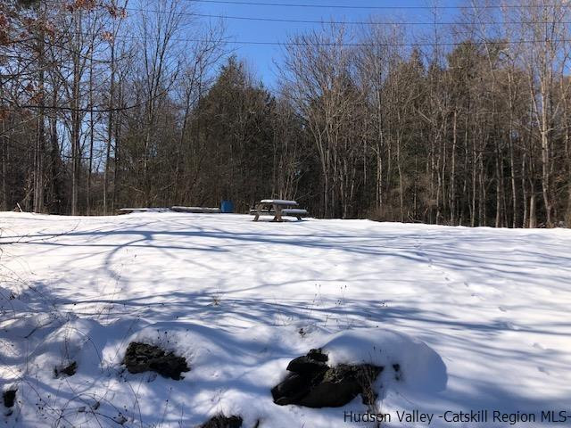 39 Travis Boulevard Catskill, NY 12414 - Photo 1 of 20 a view of a backyard of the house