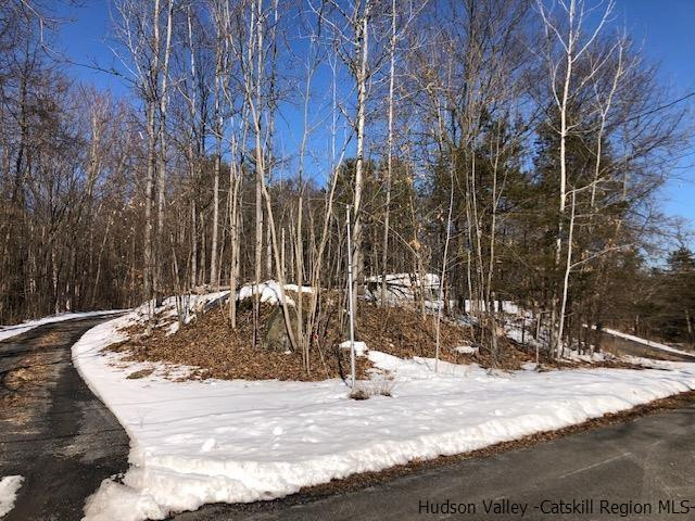 39 Travis Boulevard Catskill, NY 12414 - Photo 14 of 20 a view of a wooden house with a snow