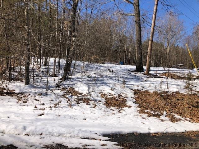 39 Travis Boulevard Catskill, NY 12414 - Photo 3 of 20 a view of a yard covered in snow
