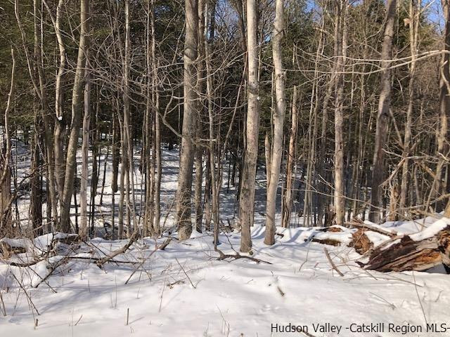 39 Travis Boulevard Catskill, NY 12414 - Photo 5 of 20