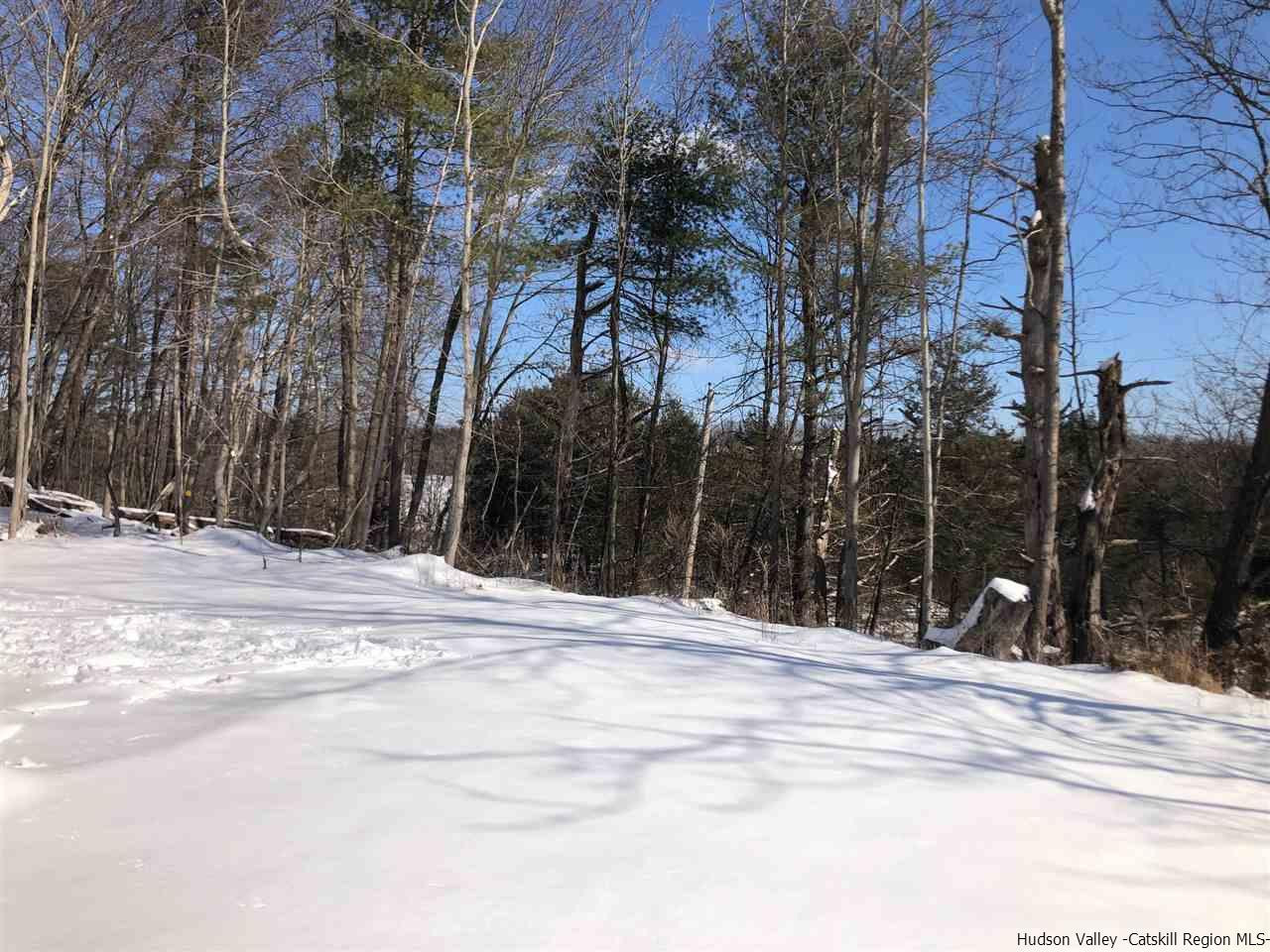 39 Travis Boulevard Catskill, NY 12414 - Photo 6 of 20 a view of a house with a snow on the road