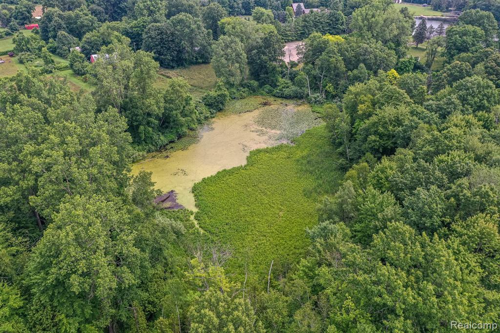 0 Pond Road Leonard, MI 48367 - Photo 7 of 9