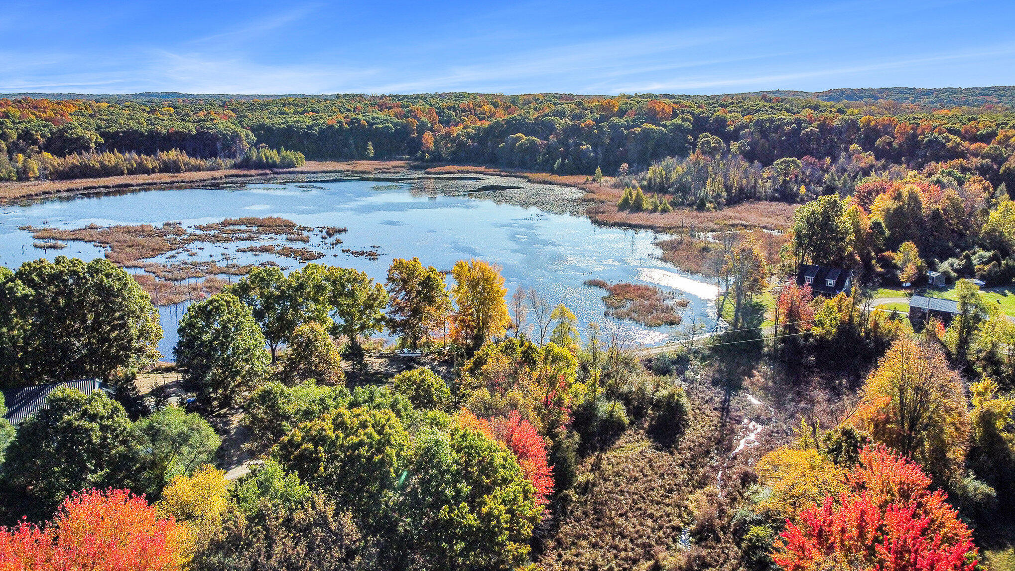 15303 Seymour Road Grass Lake, MI 49240 - Photo 7 of 96 023_dji_0301_79