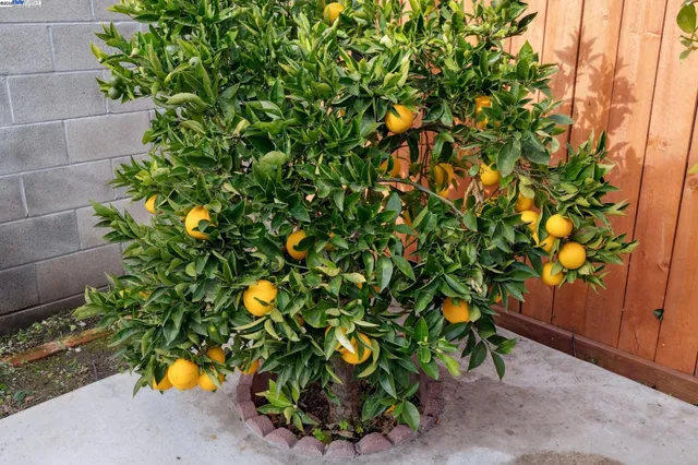 $775,000 | 1815 102nd Avenue, Oakland, CA 94603