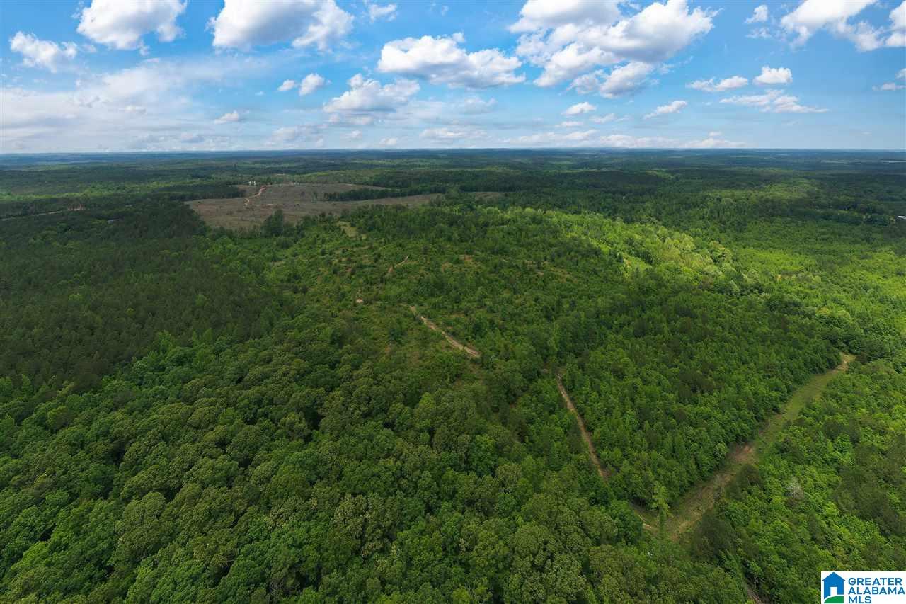0 Montevallo Road Centreville, AL 35042 - Photo 18 of 29