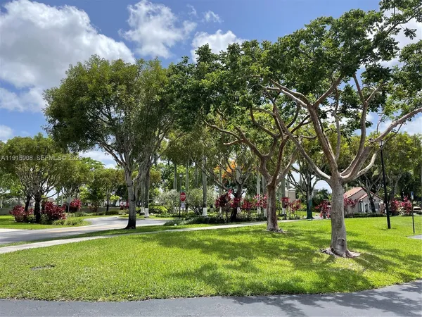 a park with lots of trees and plants