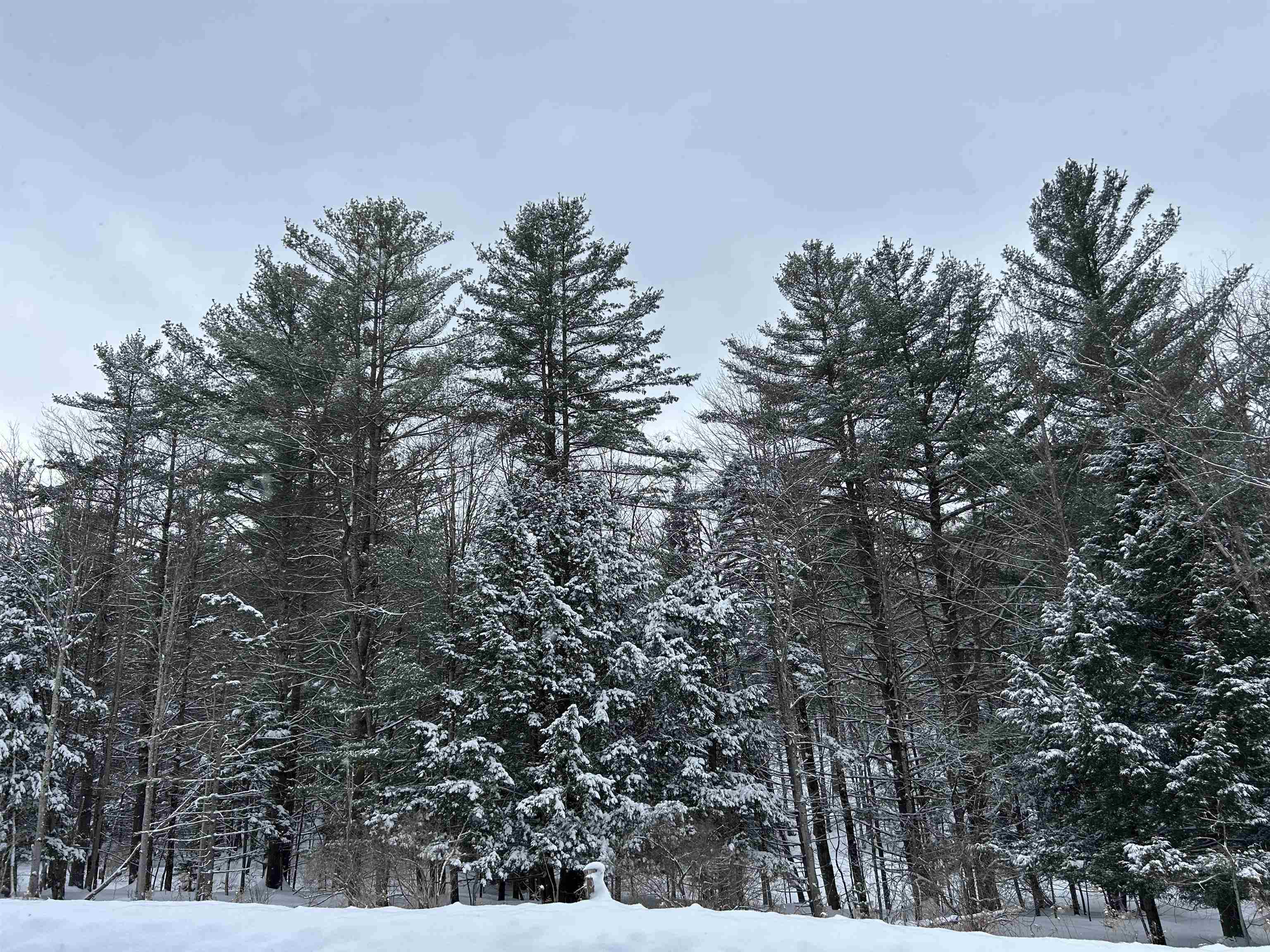 0 Rocky Road Johnson, VT 05656 - Photo 20 of 22