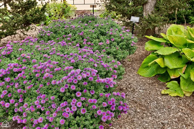 $4,215,000 | 4840 South Indiana Avenue, Chicago, IL 60615