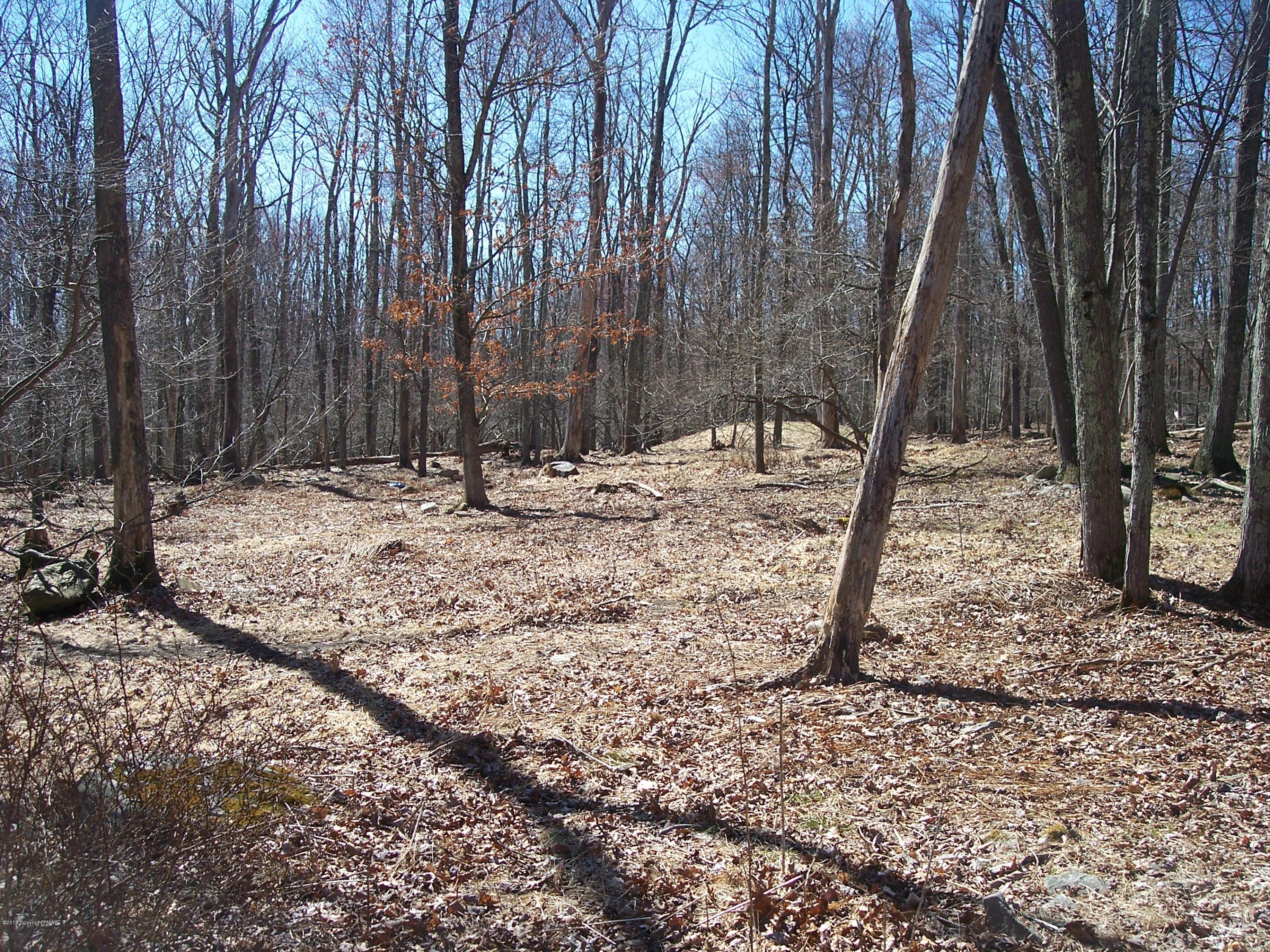 220 Mohican Road Canadensis, PA 18325 - Photo 32 of 36 Back Yard