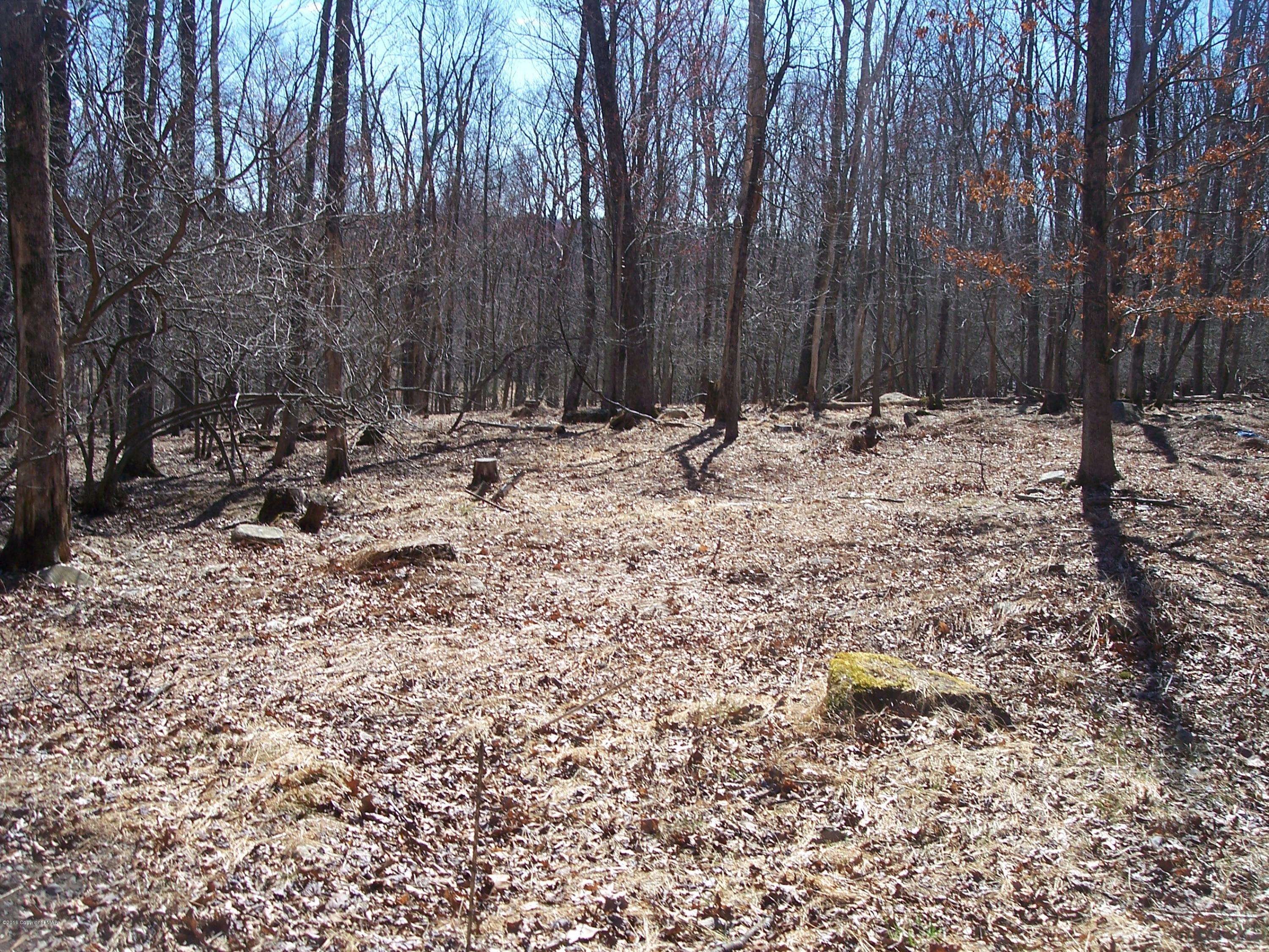 220 Mohican Road Canadensis, PA 18325 - Photo 33 of 36 Wooded Back Yard