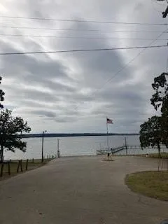 a view of yard with tree s