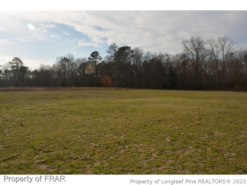 Lamms Grove Rd Extension Cameron, NC 28326 - Photo 4 of 6 Gallery Image 4