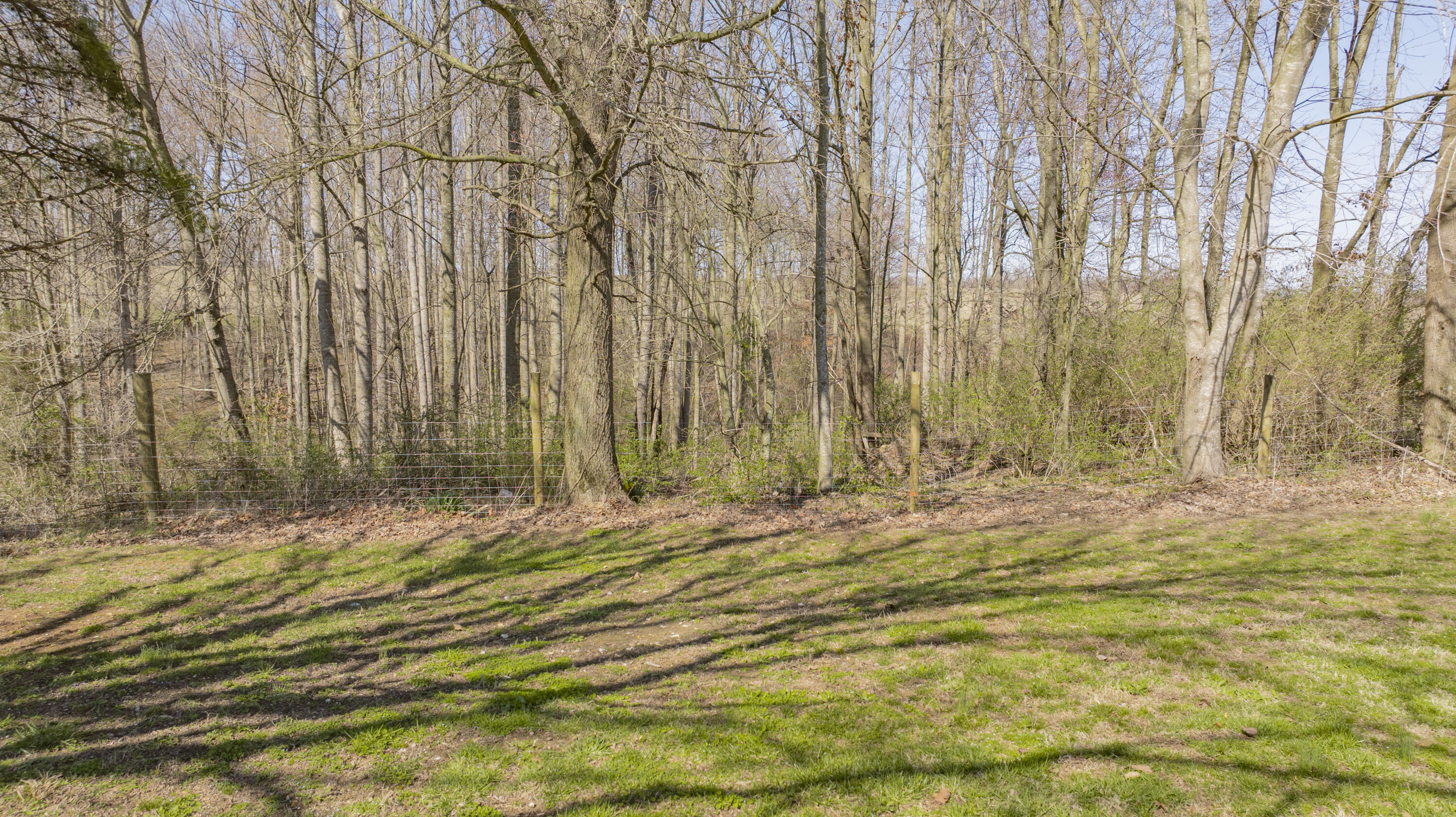360 Brown-Colyer Road Eubank, KY 42567 - Photo 13 of 42 360 Brown Colyer-13
