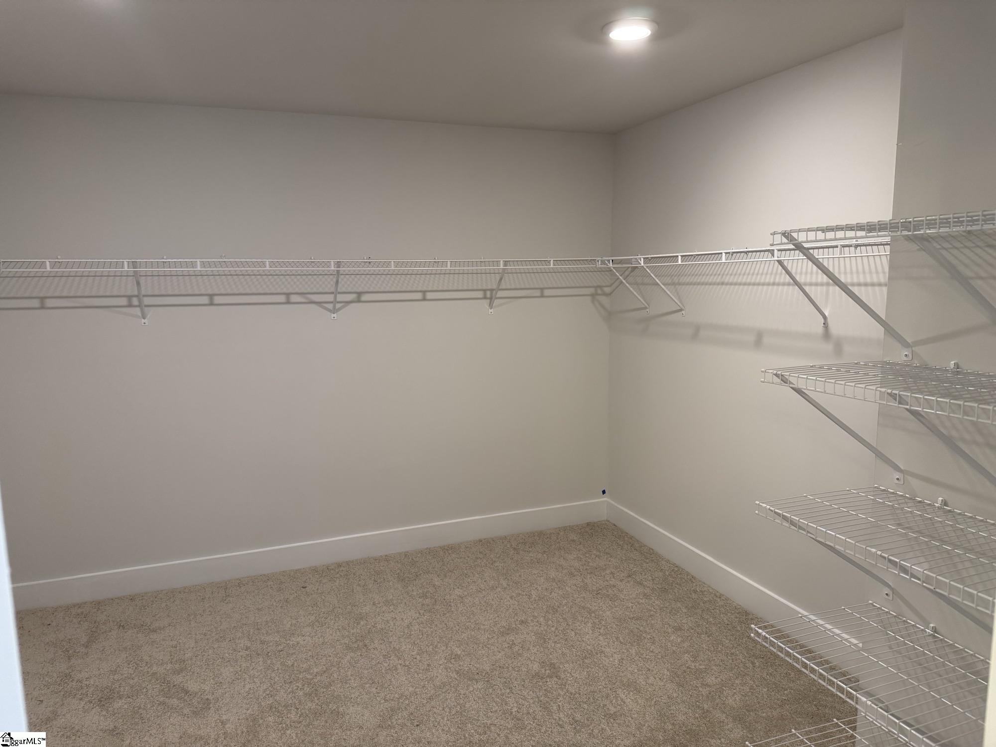 116 Terpack Circle Gray Court, SC 29645 - Photo 6 of 11