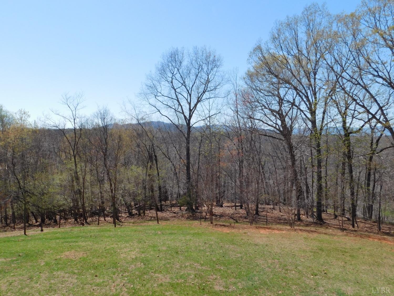 320 Ruth Drive Madison Heights, VA 24572 - Photo 11 of 60 a view of a park with large trees