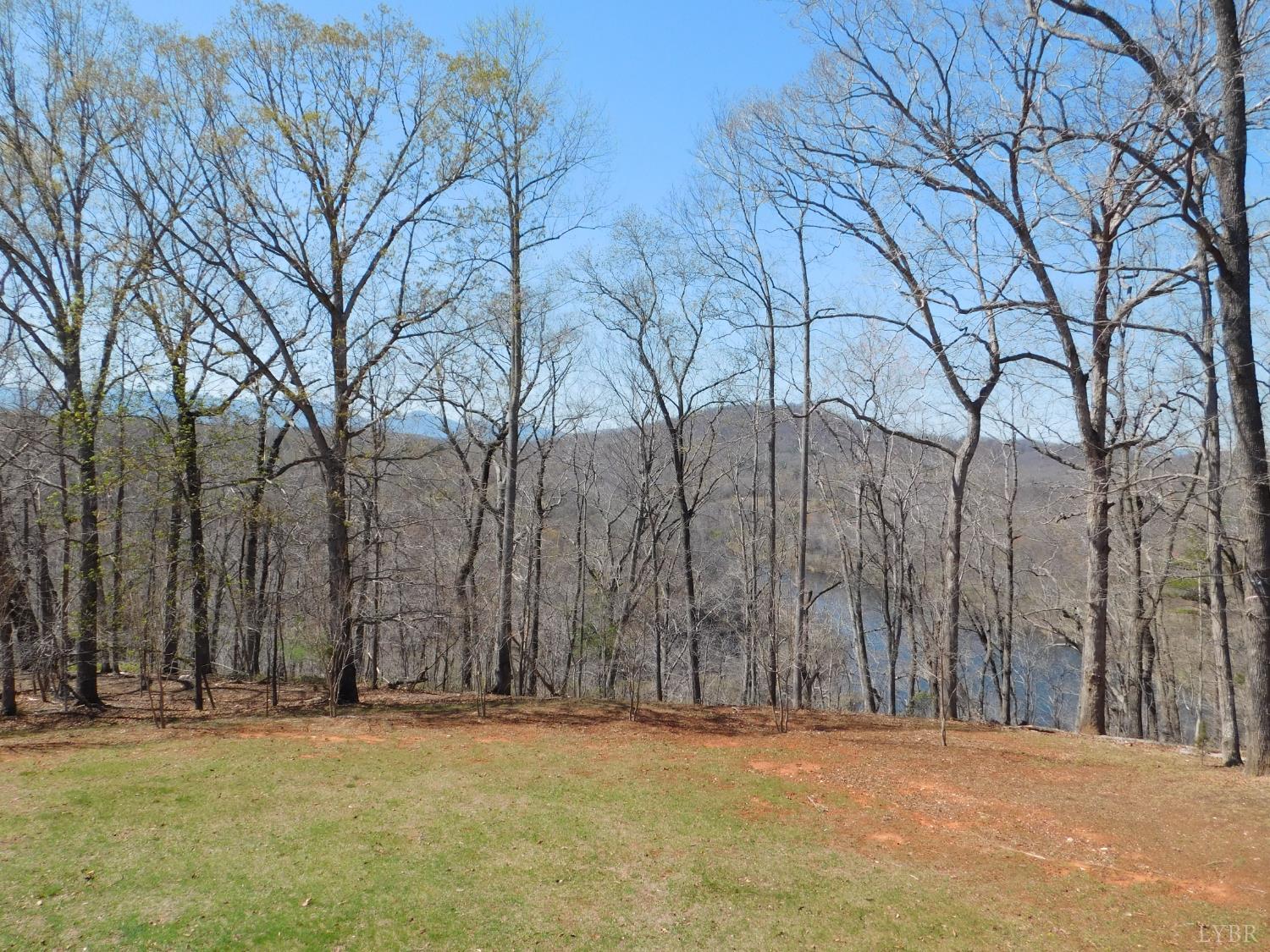 320 Ruth Drive Madison Heights, VA 24572 - Photo 12 of 60