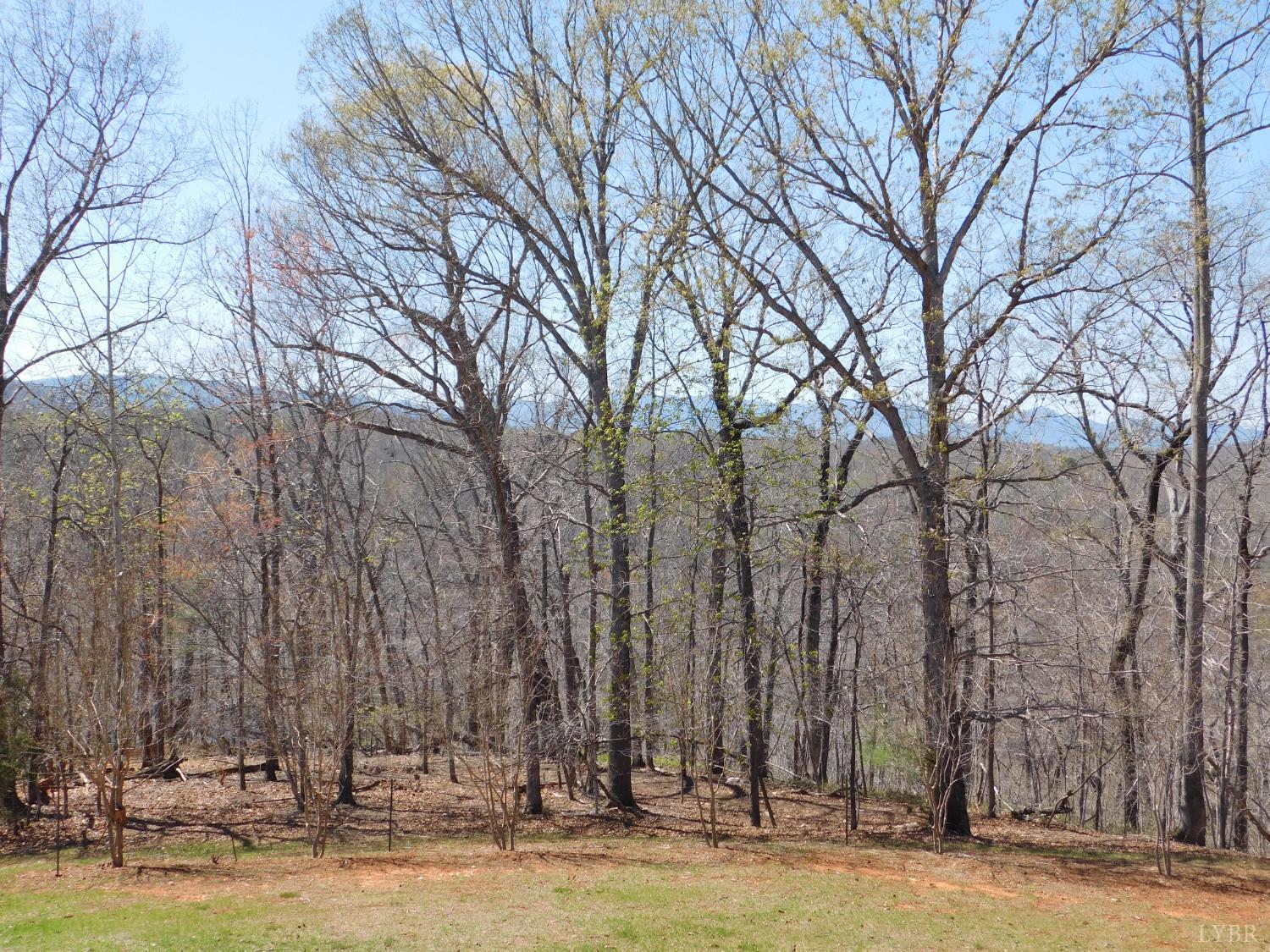 320 Ruth Drive Madison Heights, VA 24572 - Photo 13 of 60