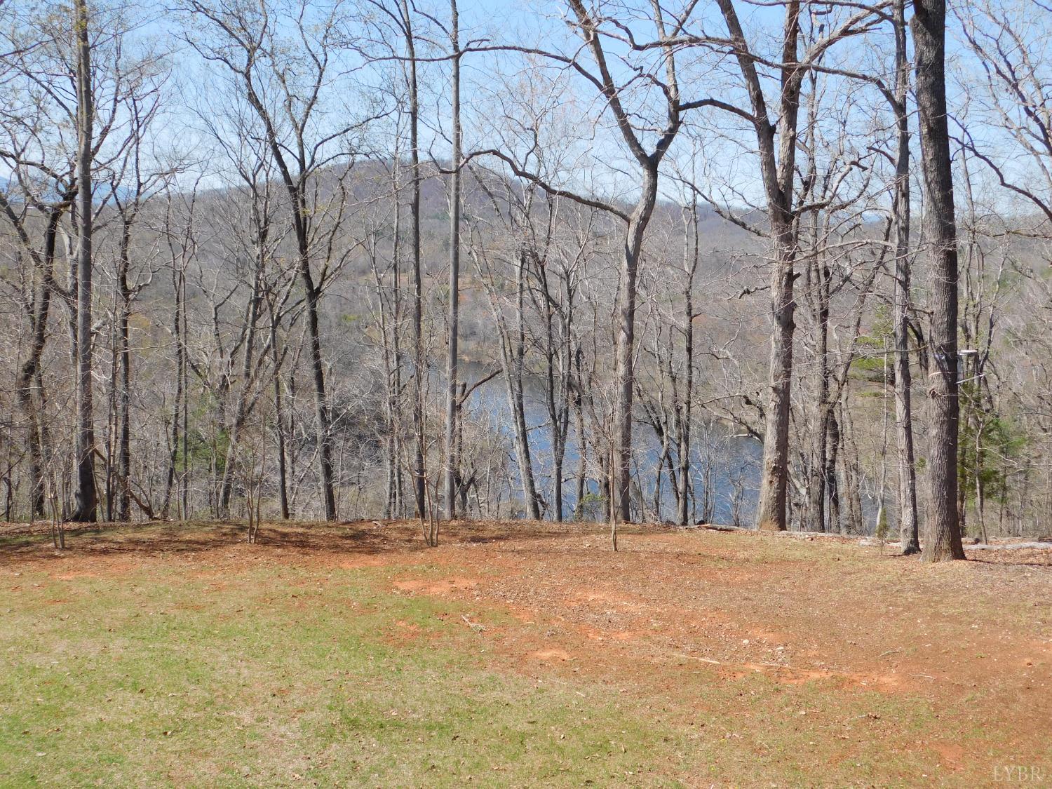 320 Ruth Drive Madison Heights, VA 24572 - Photo 14 of 60