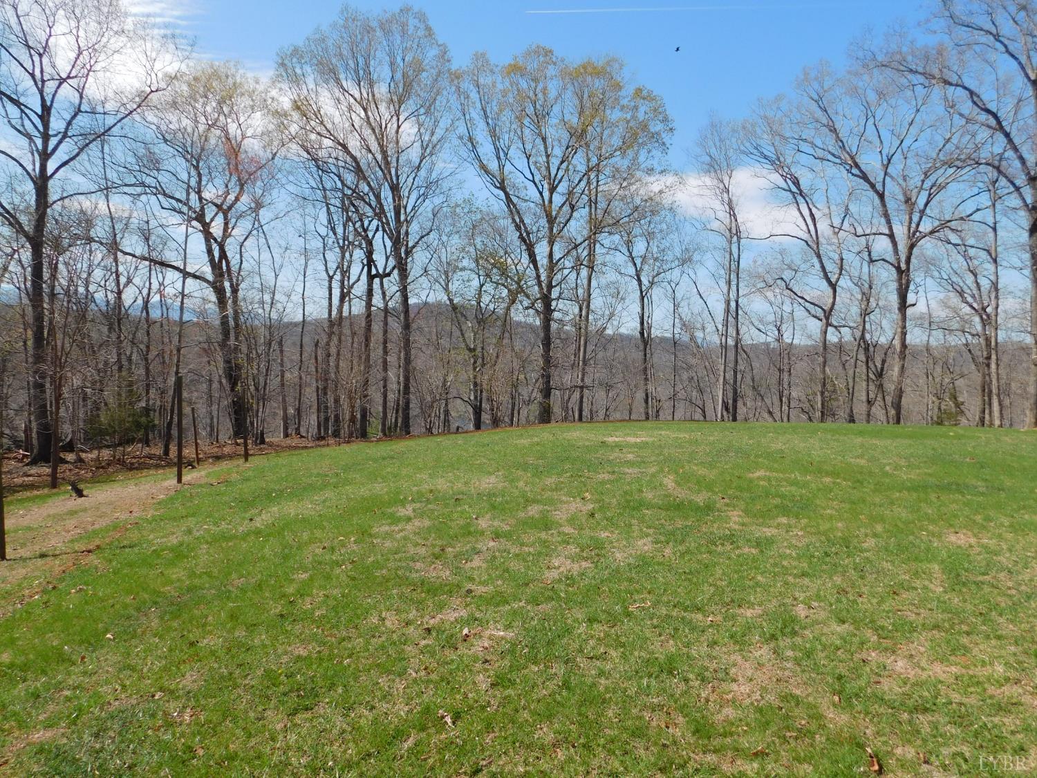 320 Ruth Drive Madison Heights, VA 24572 - Photo 15 of 60