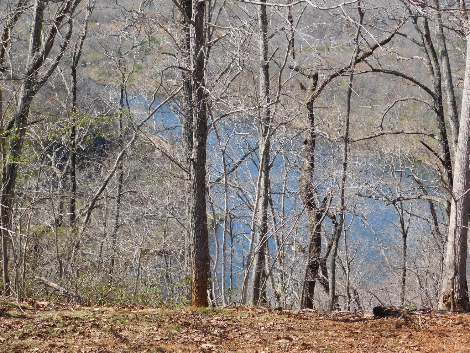 320 Ruth Drive Madison Heights, VA 24572 - Photo 17 of 60