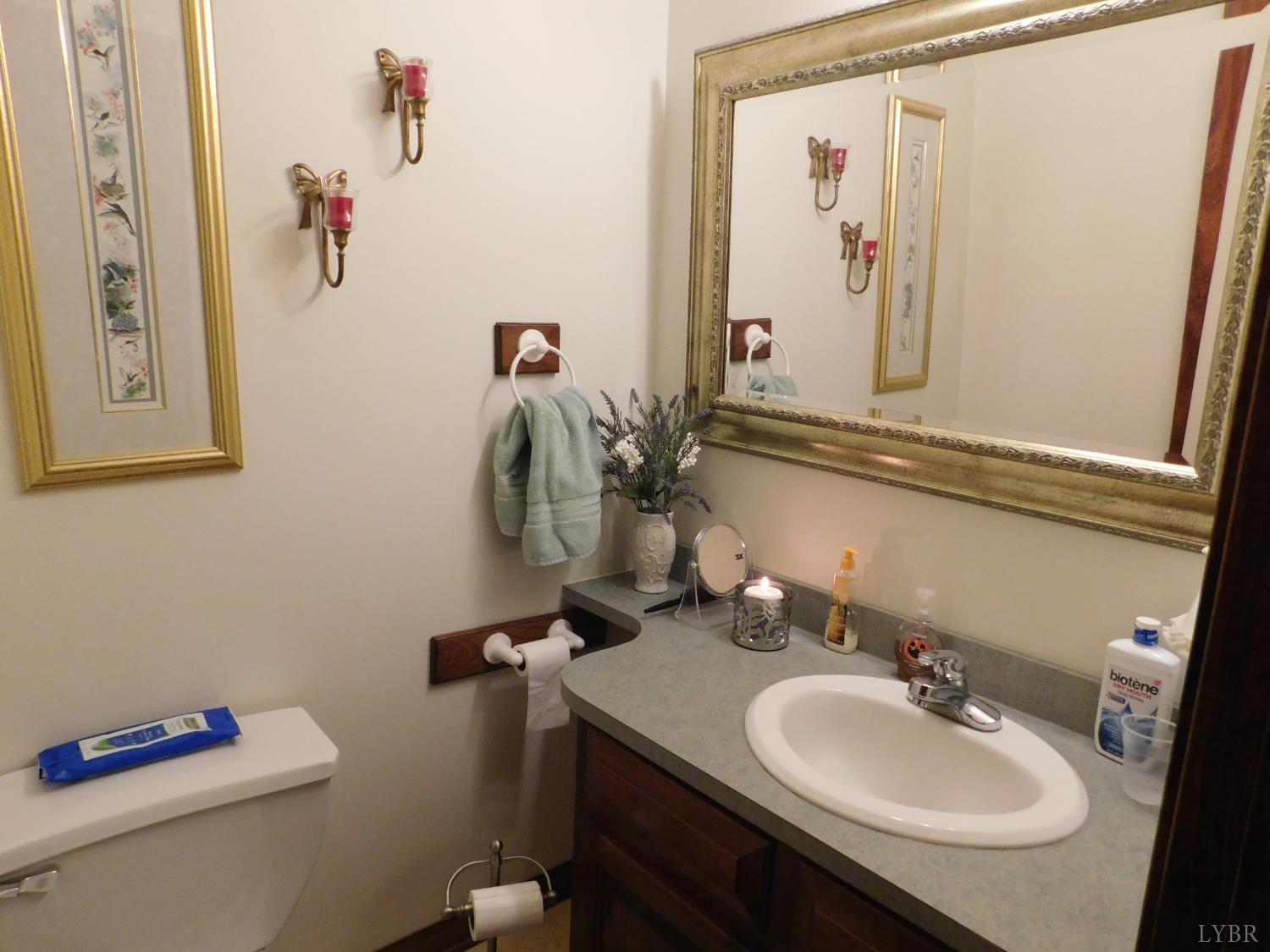 320 Ruth Drive Madison Heights, VA 24572 - Photo 35 of 60