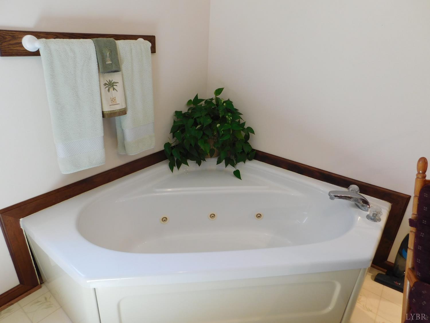 320 Ruth Drive Madison Heights, VA 24572 - Photo 40 of 60