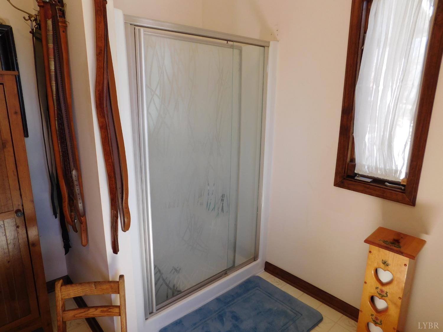 320 Ruth Drive Madison Heights, VA 24572 - Photo 42 of 60