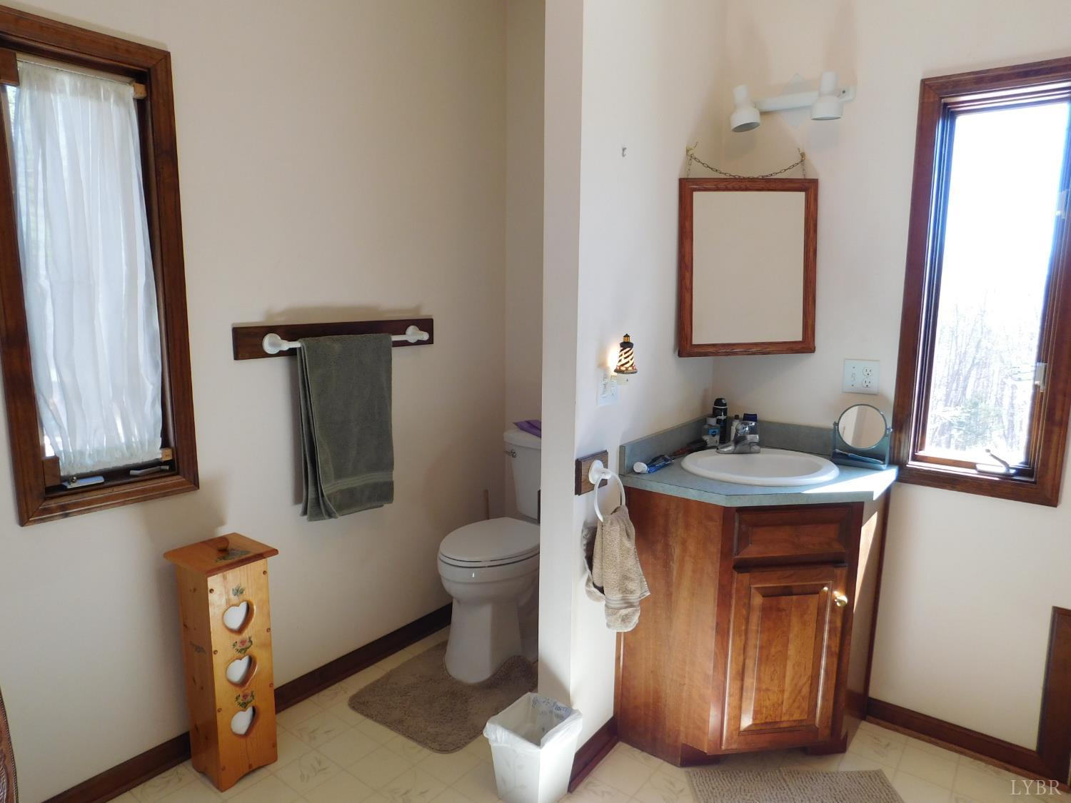 320 Ruth Drive Madison Heights, VA 24572 - Photo 43 of 60