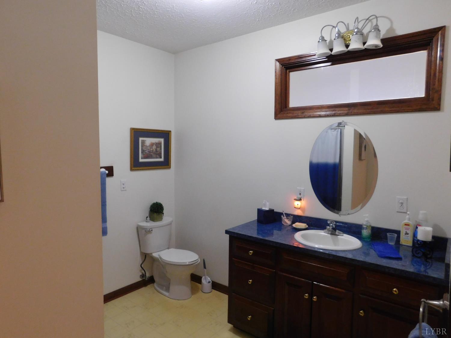 320 Ruth Drive Madison Heights, VA 24572 - Photo 50 of 60