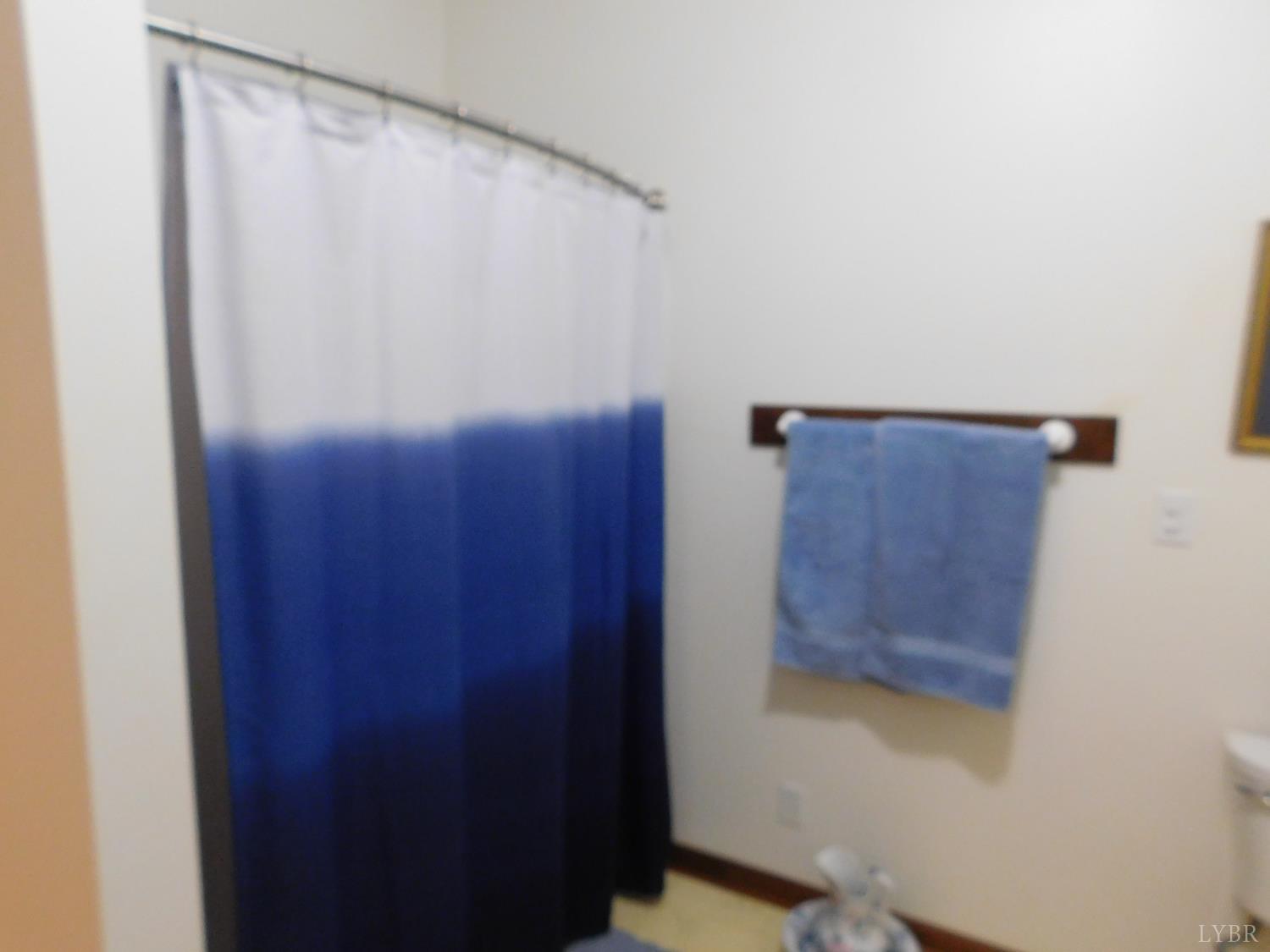 320 Ruth Drive Madison Heights, VA 24572 - Photo 51 of 60