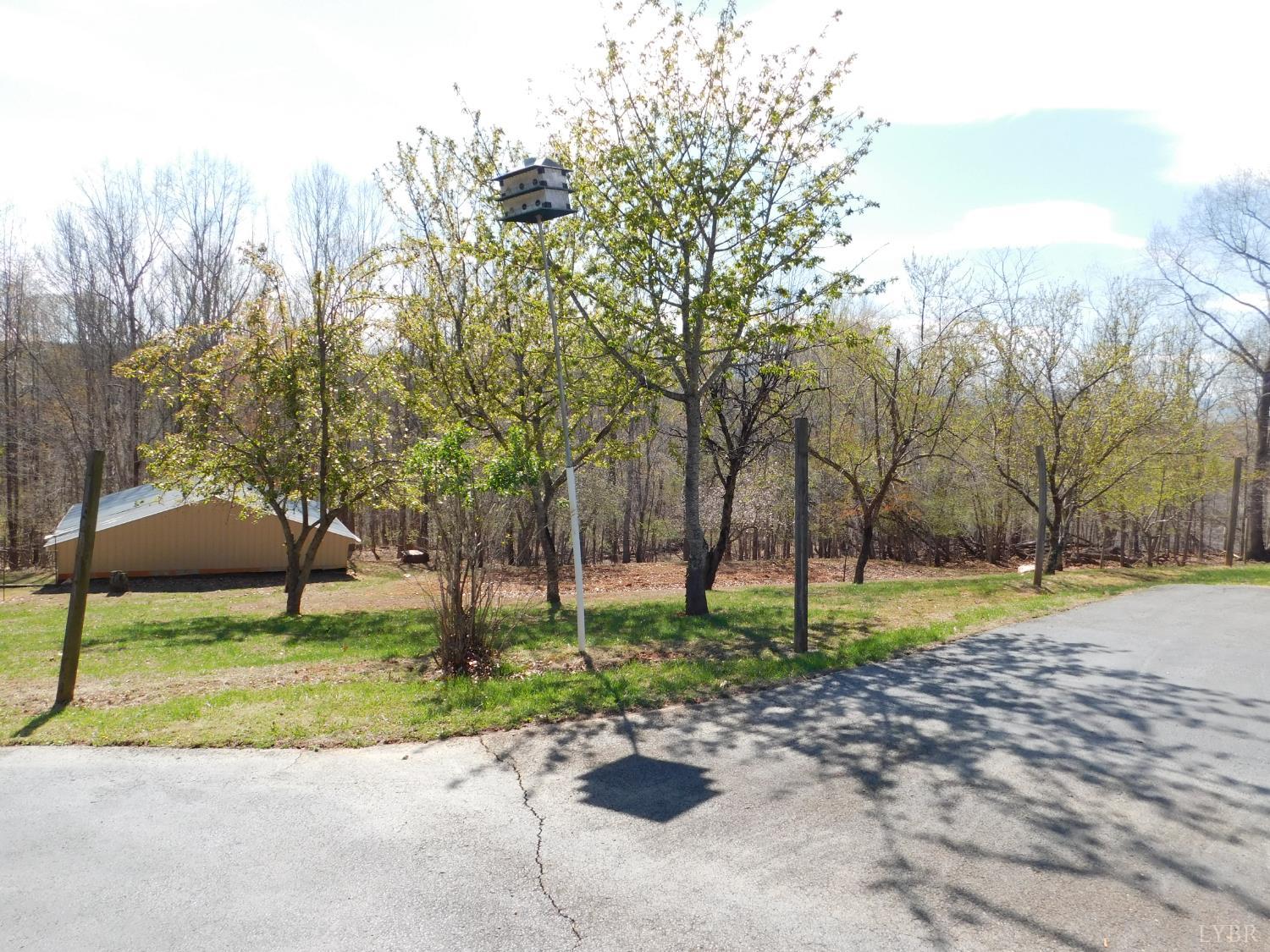 320 Ruth Drive Madison Heights, VA 24572 - Photo 8 of 60