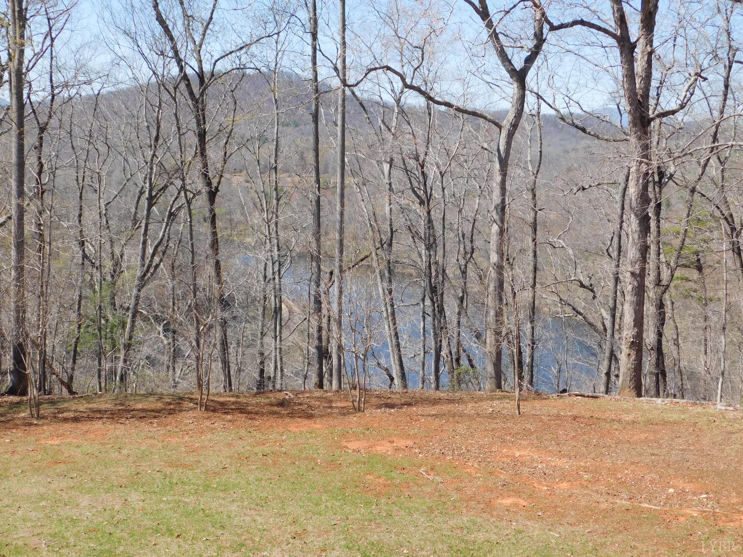 320 Ruth Drive Madison Heights, VA 24572 - Photo 10 of 60