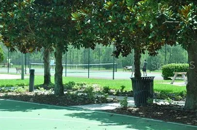 a view of a backyard